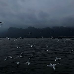 丨国产丨精品|免费软件
