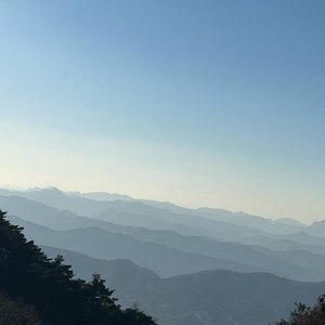 丨国产丨精品|免费软件
